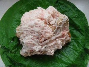 �����͵�Ӫ����ֵ �����͵�ʳ�÷���