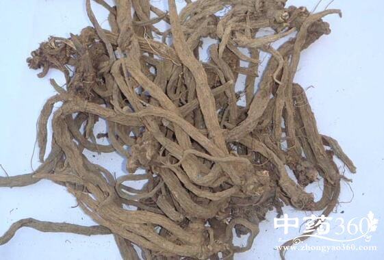 老君须的功效与作用 老君须的用法用量和使用禁忌 - 中药360