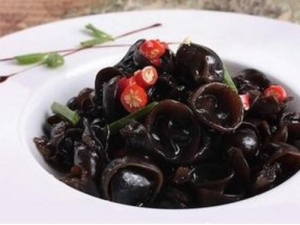 �����̴���ʲô�� �̴����߳�ʲô��