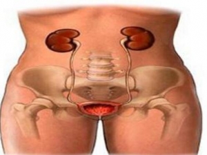 ��·��Ⱦ��ô�� ��·��Ⱦ��ô����