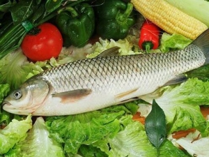 �Բ���ĺô� �Բ����ע������