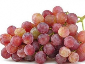 ��õ�����ѵ�Ӫ����ֵ ��õ�����ѵ�ʳ�÷���