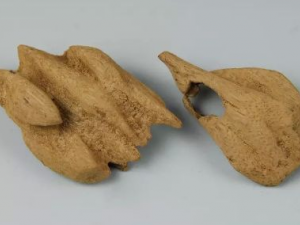 ����ɢ����ɼ���Ч��ʲô