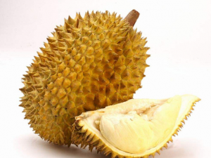 �ճ������������ٳ�ʲô