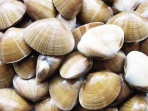 �����Ĺ�Ч������ �������÷�����