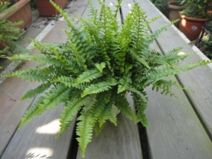 ��ǵ����� ��ǵ���Ч ��ǵ���������