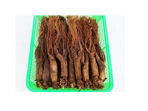 ���εĹ�Ч ���ε��÷�����