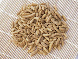 ��ҩ�󶬵ĸ����� ����ˮ�ȵĹ�Ч