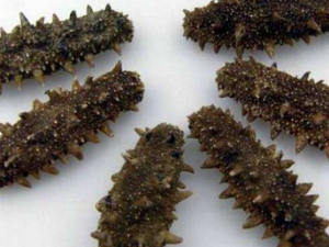 �Ժ�������Щ�ô� ��Щ�˲��ܳԺ���