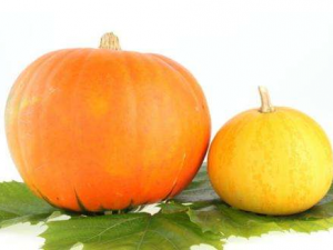 ʲô�����ܳ��Ϲ� ���Ϲ�ע��ʲô��