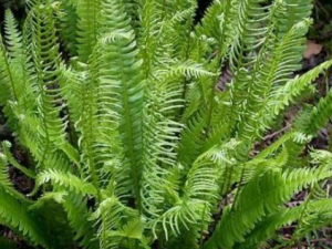 �̵����_�̵����Ĺ�Ч|�÷�����