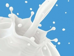 ��к��ô�� ��к���ܳ�ʲô