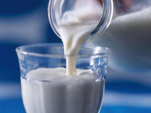 ����ݡ����ı������ܺ�ţ����