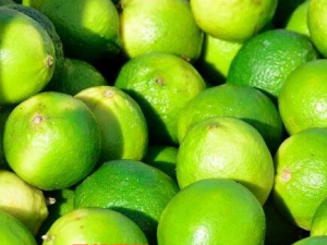 ���Ƥ�Ĺ�Ч������ ���Ƥ�ٽ�����