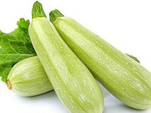 «�ӵĹ�Ч������ «���ܲ���Ӫ��