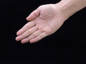 ���ĳ�����ԭ�� ���ĳ�����ô��