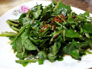 �����ѹ�Ӣ������