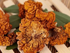 �ƶ���Ӫ����ֵ����Ч �ƶ���ʳ�÷���