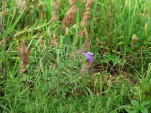 ���������Ĺ�Ч������ ���������ļ��𷽷�