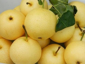 �＾������ʲô�ô� ���ѡ������