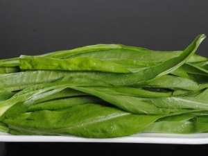 ݫ��Ҷ��Ӫ����ֵ ݫ��Ҷ��ô��ѡ