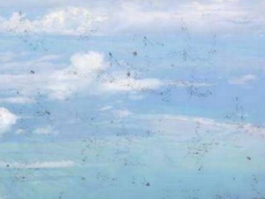 ֢֢״ ֢ʳԭ ֢ʲô