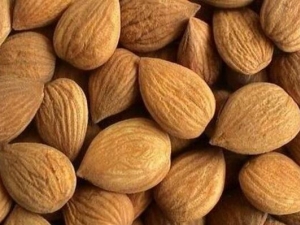 �������Ըദ�� �������Ը๦Ч �������Ը��������