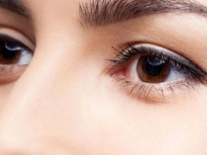 �۾�������ô�� �۾����ó�ʲô�� ���۵�ƫ���Ƽ�