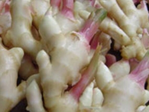 �ӽ���Ӫ����ֵ �ӽ���ʳ�÷���