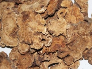 �������������� ������������Ч ������������������