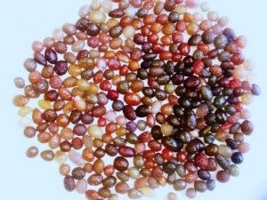 �����ѵ�Ӫ����ֵ �����ѵ�ʳ�÷���