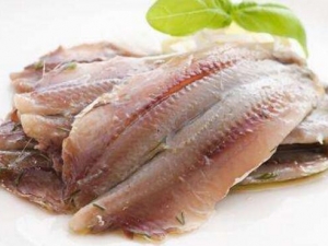 ���ʲô��λ��Ӫ�� ��������