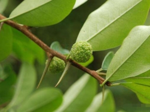 ū�ϴ̵Ĺ�Ч������ ū�ϴ̵��÷�����