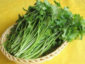 ��˵�Ӫ����ֵ������˻᳤����