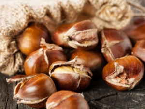 ��β��������Ϻõİ��� С�����֧��