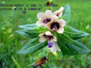 ����������_���������ӵĹ�Ч|�÷�����