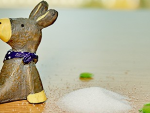 ����ʯ������֢״������ʯ���ܳ�ʲô