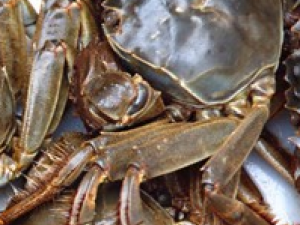 зʱҪעʲô зܺʲôһ