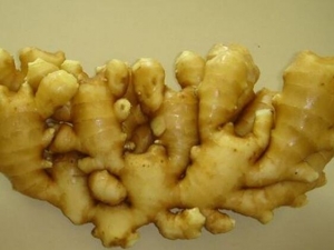 ��ô�Խ��Ž��� �Խ���ע����������Щ