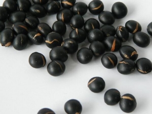 �ڶ���Ӫ����ֵ �ڶ���ô�Լ���