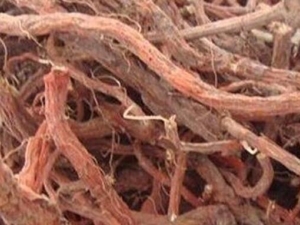 ������Ĺ�Ч������ ������ĸ���