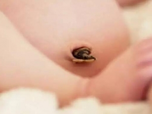 ������������ˮ��ԭ�� ������������ˮ��ô��