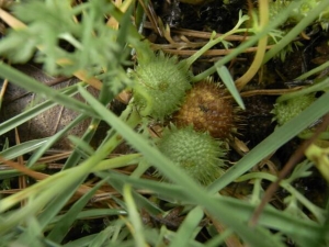 �����յĹ�Ч������ �����յ��÷�����