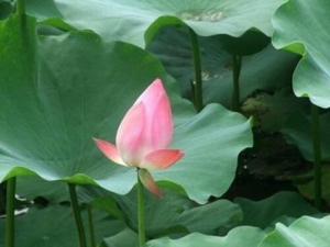 ��ò���ÿ���ô�� ��μ�������