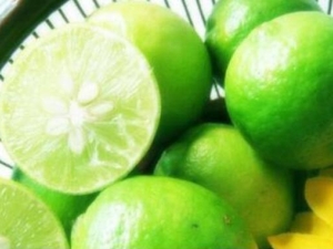 ��֭ʳ������ֹ�������� �������ó��ӱ�������