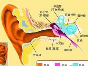 ������׵����� �����������ע������