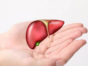 �����ȷ���� ���εķ����Ƽ� ���ε�ע������