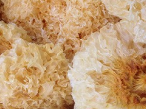 ��ҹ���ܳ��� ��ҹ������ЩΣ��