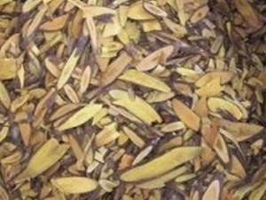 ���͸��Ĺ�Ч������ ���͸��ĸ�������