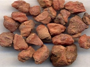 ��֭������ ��֭����Ч ��֭����������